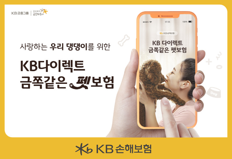 [KB손해보험 제공]