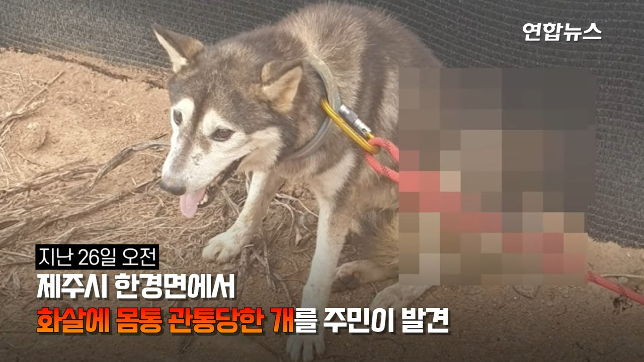 [연합뉴스 유튜브]