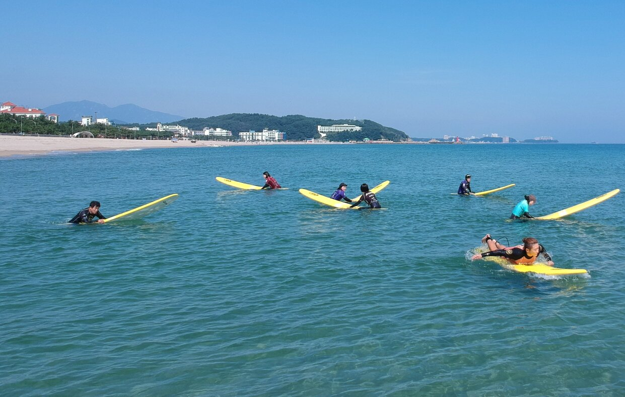 양양 서핑학교