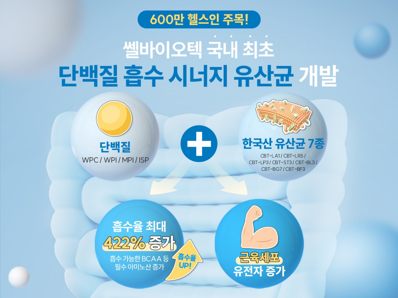 쏄바이오텍 제공