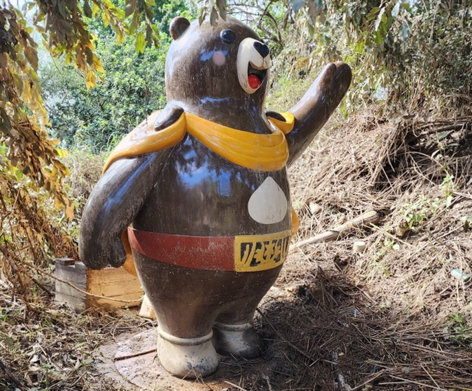 고마곰 발견당시 모습. [공주시 제공]