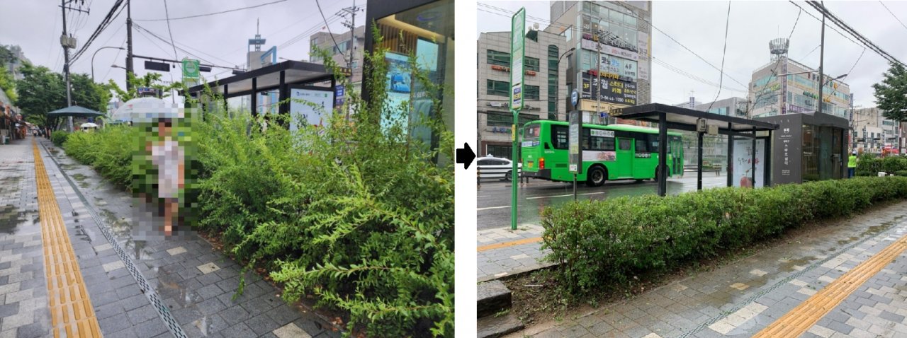 남성역 인근 녹지대 정비 전후 사진. [동작구 제공]