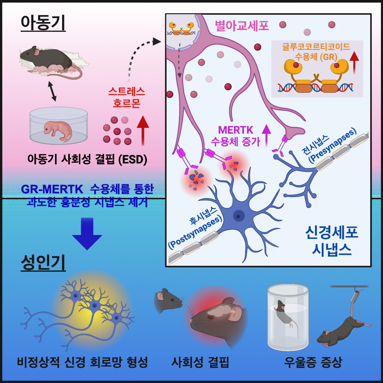 이번 연구성과 모식도.[KAIST 제공]