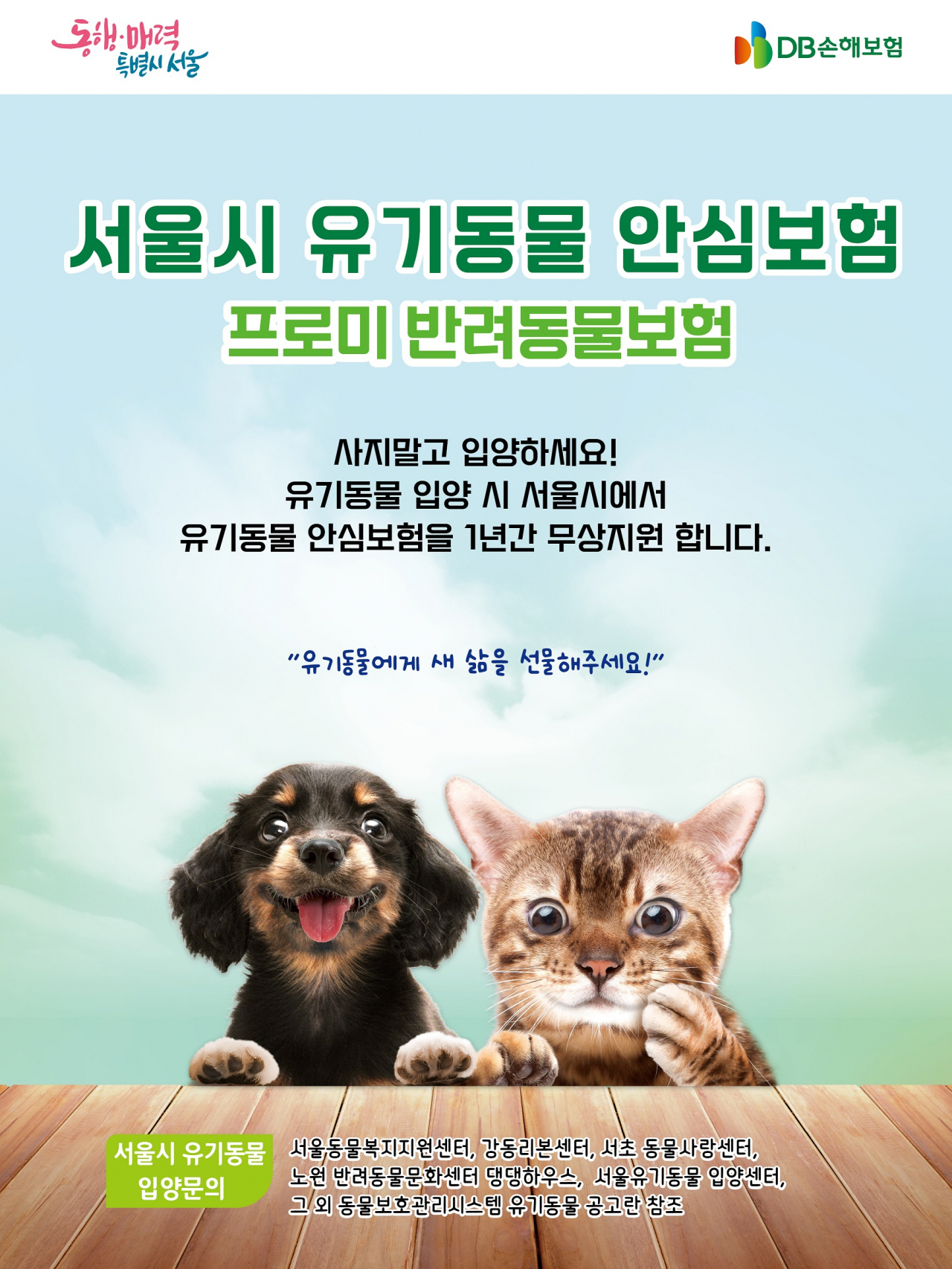 [DB손해보험 제공]