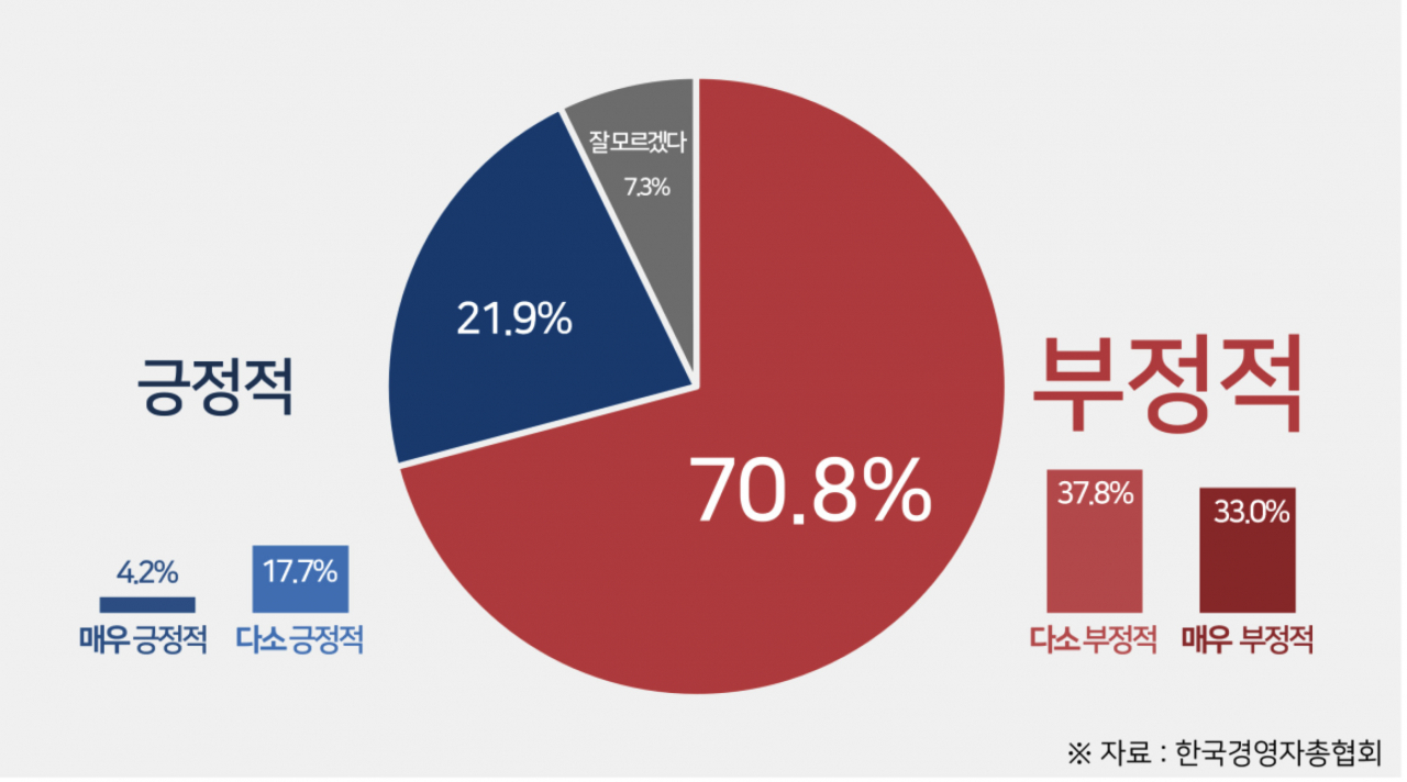 연금보험료율 인상에 대한 인식. [경총 자료]