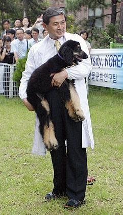 황우석 박사가 2005년 발표한 복제견 스너피의 모습