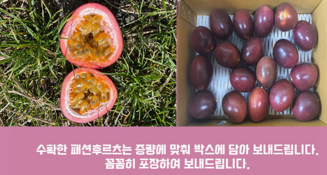 경남 하동에서 생산돼 판매되고 있는 ‘하동 백향과’ 판매 모습 [네이버 캡처]