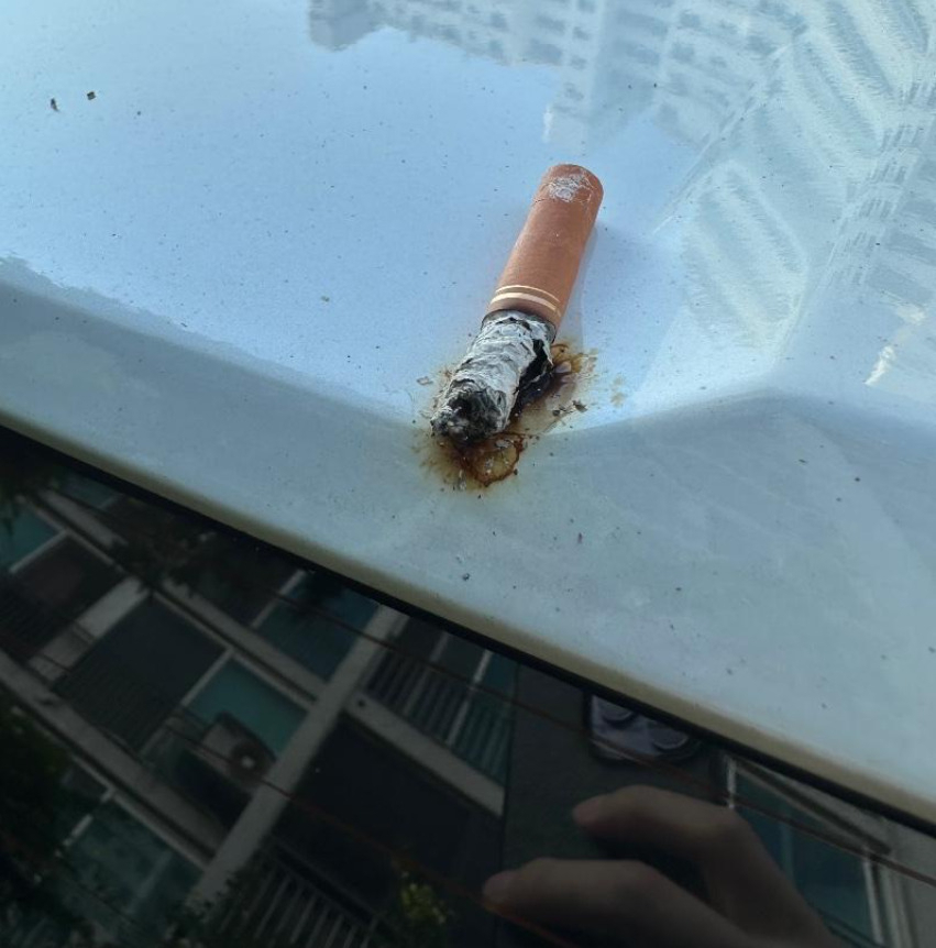 [보배드림 갈무리]