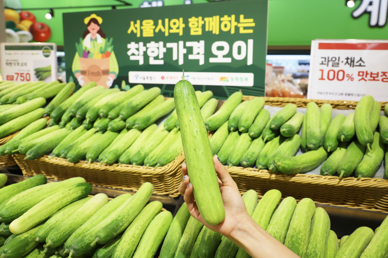 서울시는 집중호우와 폭염으로 농산물 가격이 상승함에 따라 오이 3만개를 36% 할인된 개당 750원에 판매한다고 9일 밝혔다. [롯데마트 제공]