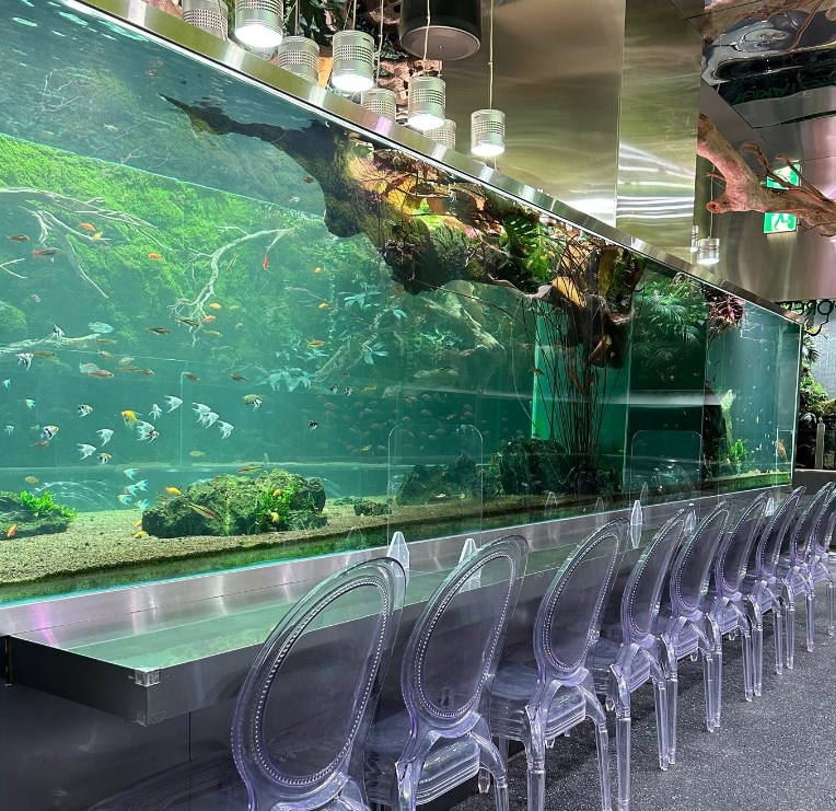 Aquagarden Cafe & Aquarium (Aquagarden Korea‘s Instagram)