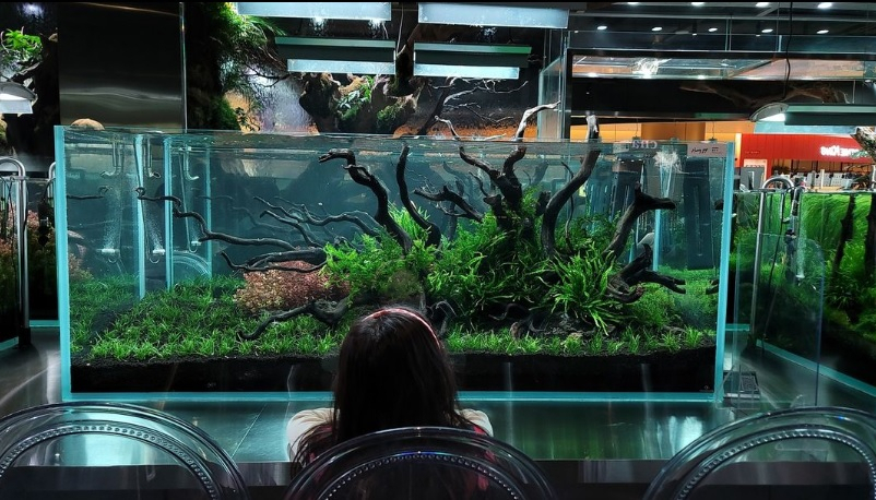 Visitors walk around Jamsil World Tower‘s Aquagarden Cafe & Aquarium in Songpa-gu, eastern Seoul on Aug. 2. (Lee Si-jin/The Korea Herald)