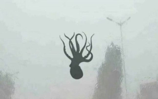 “부산 마린시티 37층 창문에 문어?”…태풍 피해 가짜사진이었다