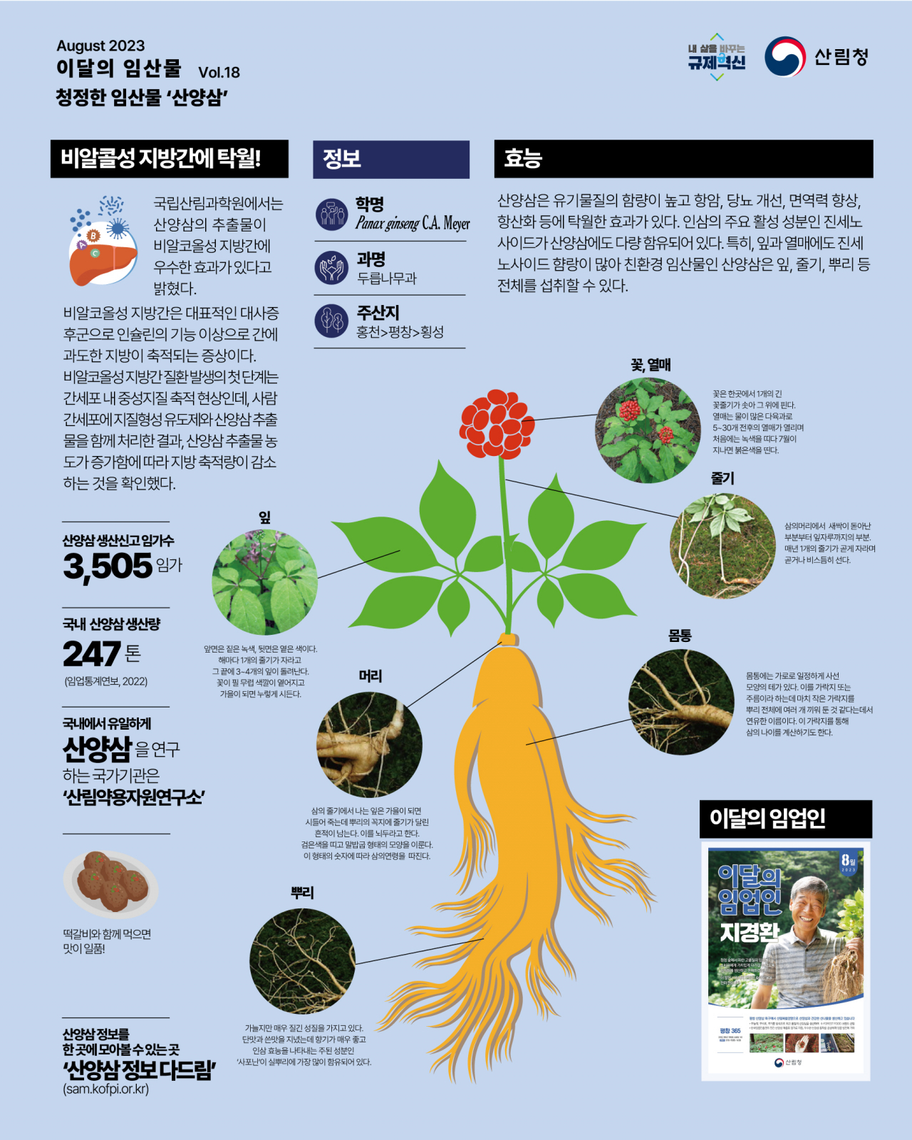 이달의 임산물(8월) 산양삼 포스터
