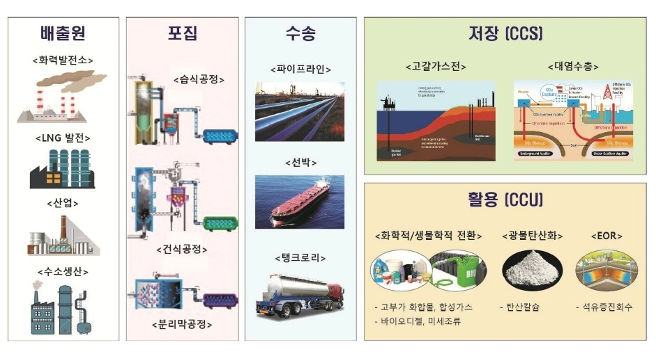 “땅속 이산화탄소 묻고도 소떼 완벽 방목” 호주가 ‘넷제로’ 열쇠 된 이유는? [비즈360]