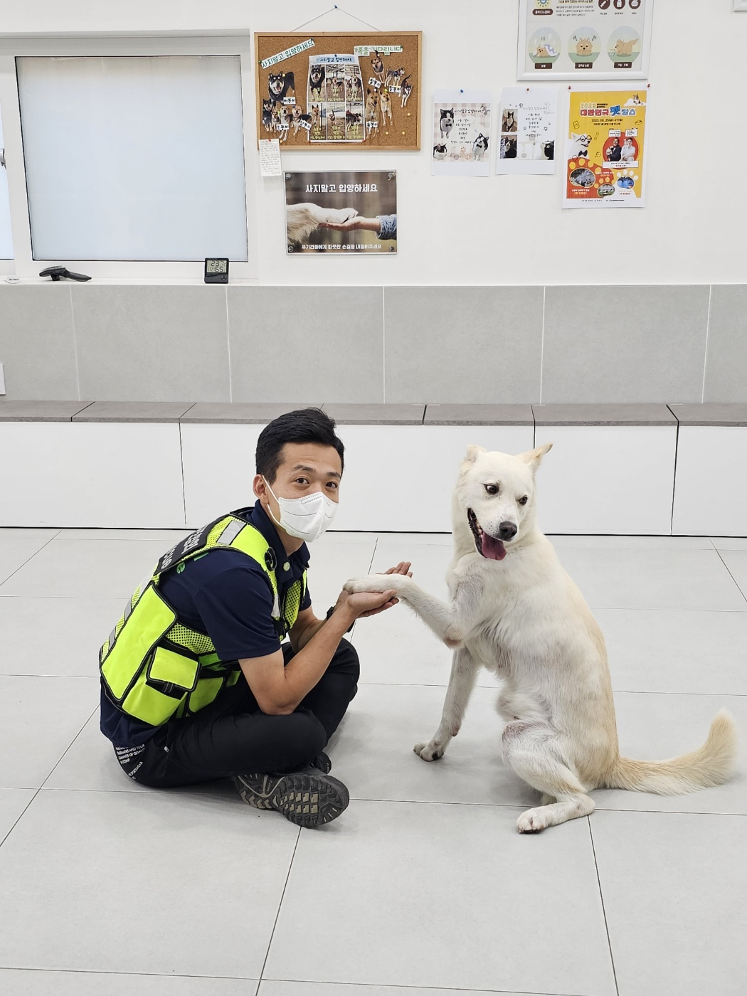 비영리단체인 반려동물구조협회 최승훈 회장이 동물학대에서 구조된 백구와 놀고 있다. [반려동물구조협회 제공]