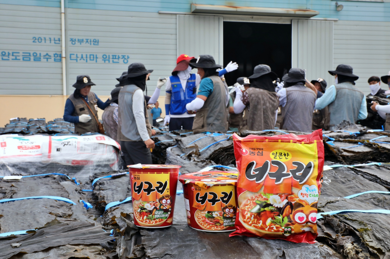 전남 완도군 금일도에서 진행된 다시마 경매 모습 [농심 제공]