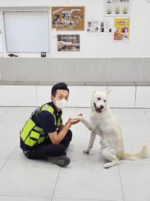 비영리단체인 반려동물구조협회 최승훈 회장이 동물학대에서 구조된 백구와 놀고 있다. [반려동물구조협회 제공]