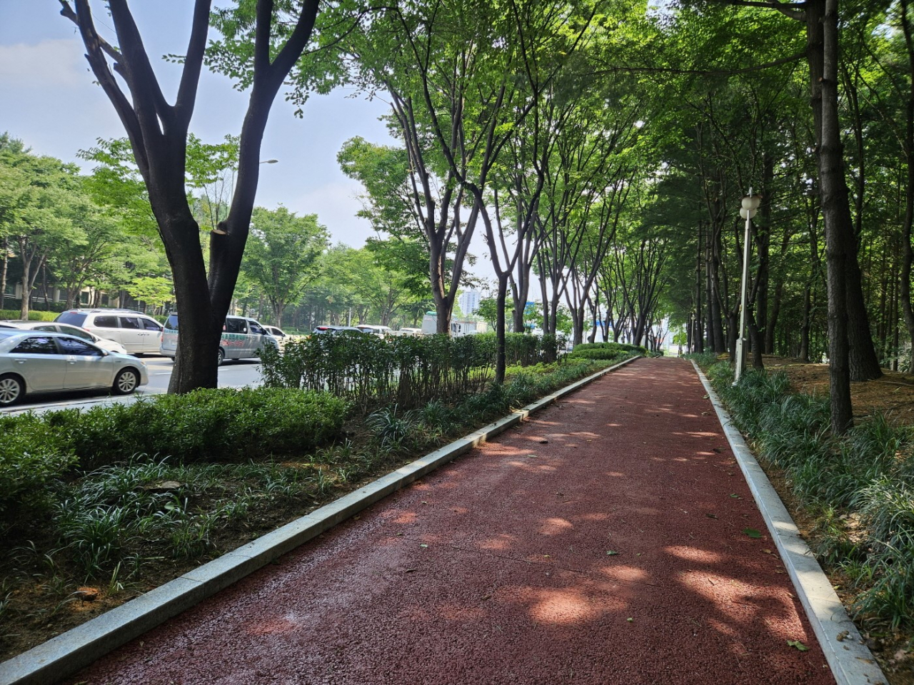 백마로 도시숲