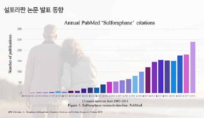 설포라판 관련 연구논문 발표 추이