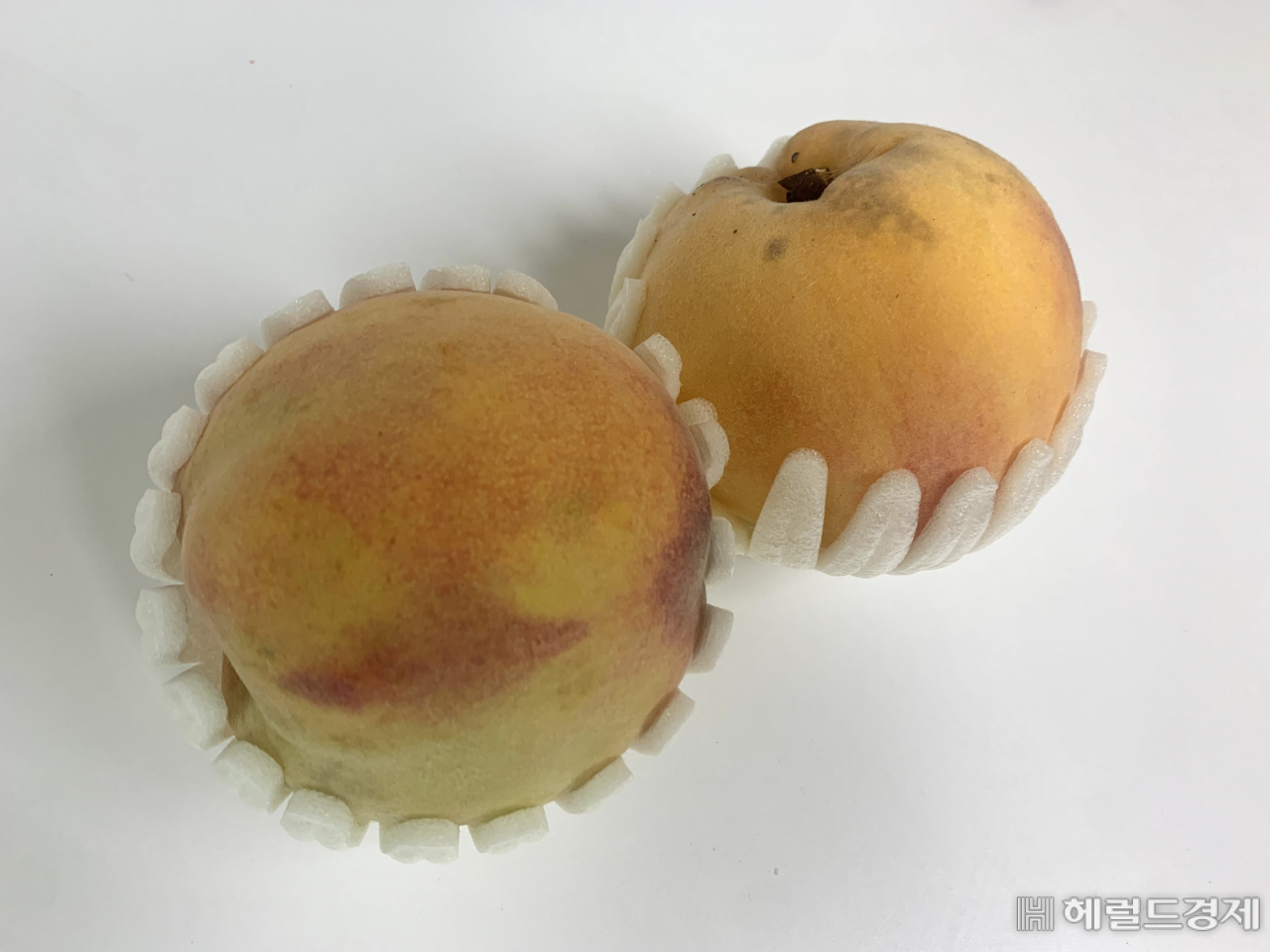 서울 거주 30대 직장인 이모씨가 구입한 복숭아 사진. 핑크빛으로 알려진 복숭아 과피 색이 균일하지 않거나 반점이 보인다. [독자 제공]