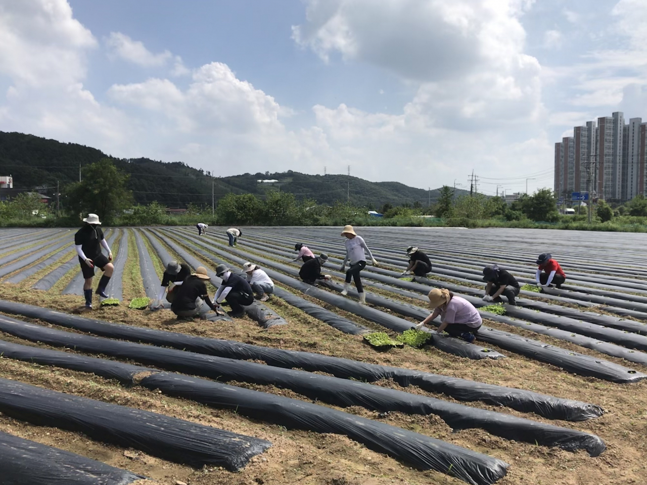 [용인도시공사 제공]