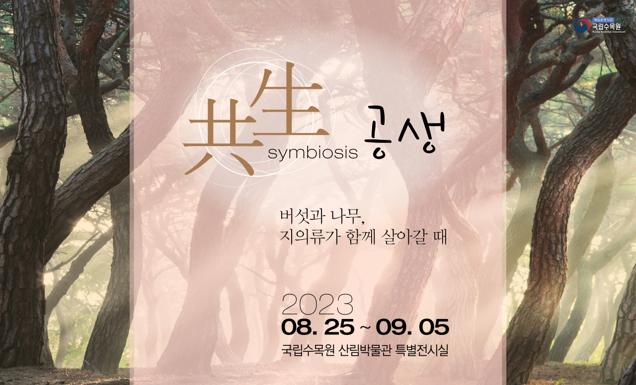 버섯 지의류 특별전시회 현수막 이미지