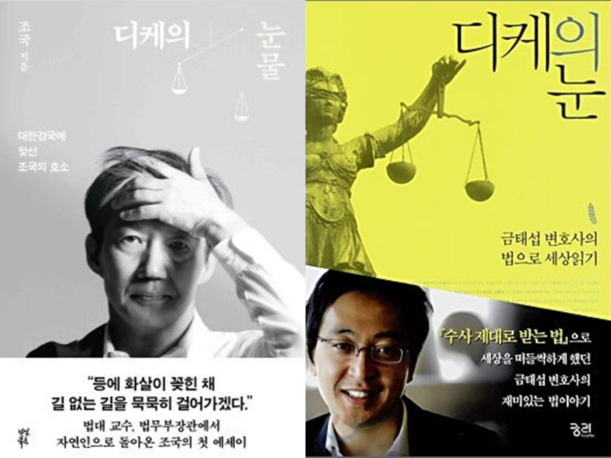 '디케의 눈물', '디케의 눈' 책 표지.