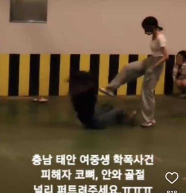[사회관계망서비스 캡처]