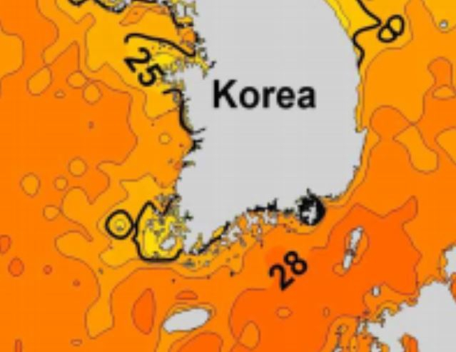 “여기가 바다야, 온천이야?” 물고기마저 떼죽음당하는 남해 바다 [지구, 뭐래?]