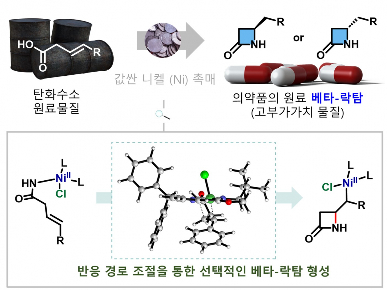 니켈 촉매를 활용한 항생제 원료물질 카이랄 베타-락탐 합성 모식도.[IBS 제공]