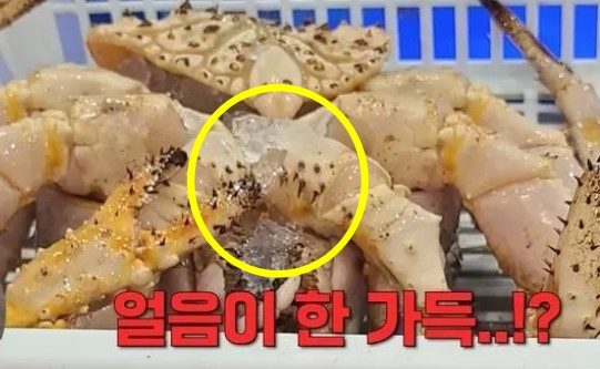 킹크랩 배딱지에 왜 얼음이?…“수산시장 ‘신종 저울치기’ 너무하네”