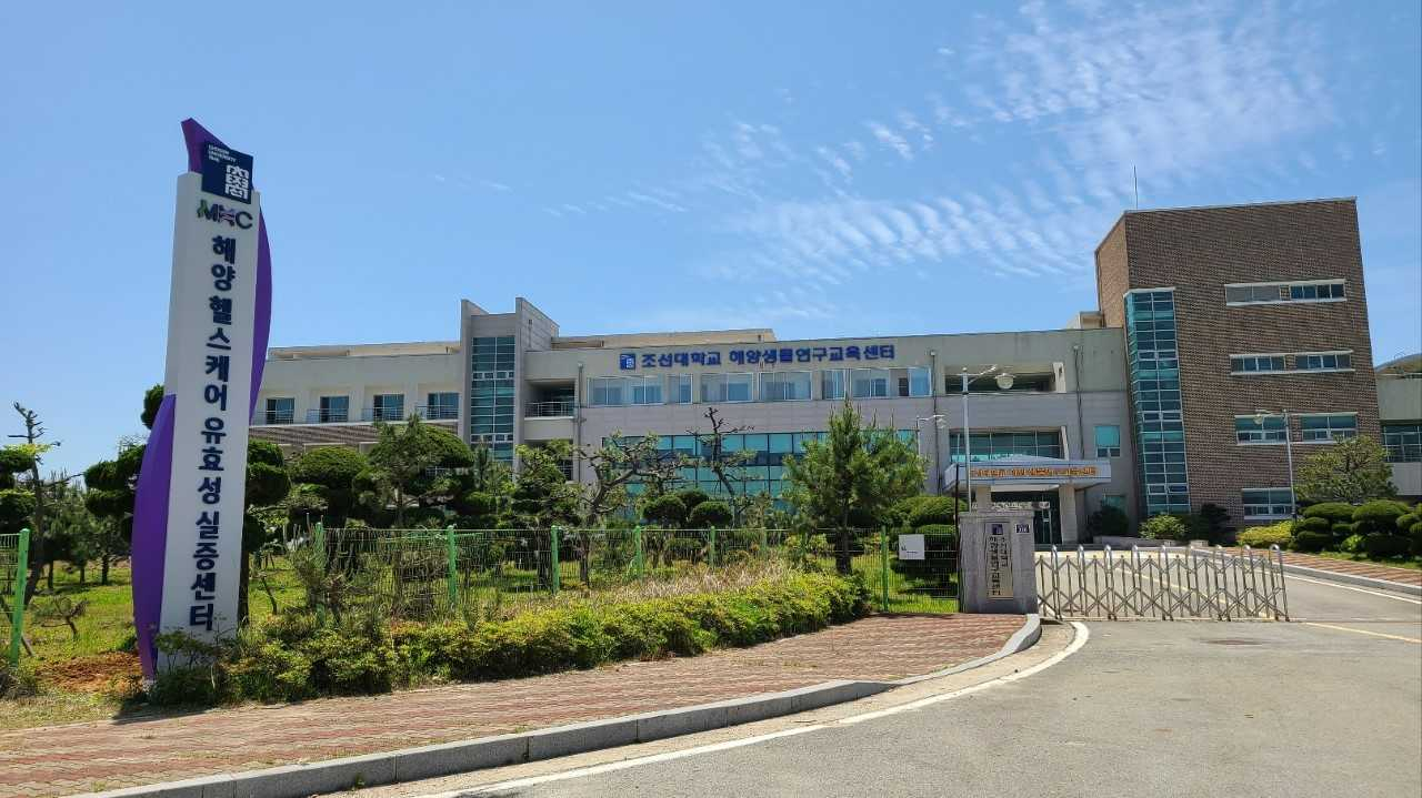 조선대가 해양치유 전문인력을 양성하는 기관으로 지정, 본격적인 인력양성에 나선다.