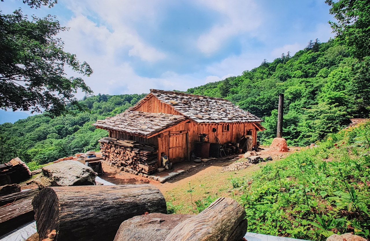 오대 중 서대