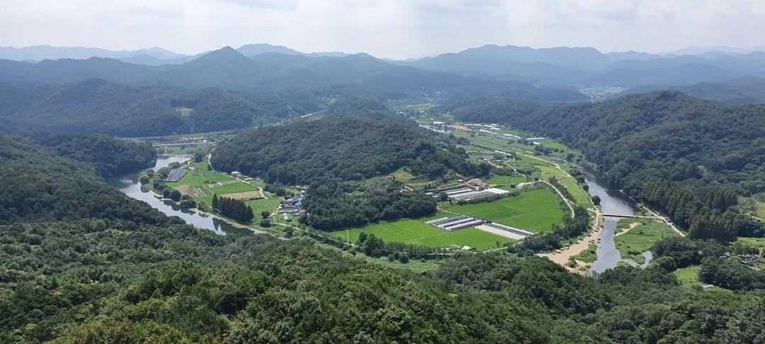 노루벌 국가정원 대상지(대전 서구 흑석동 산 95-1번지 일원)전경