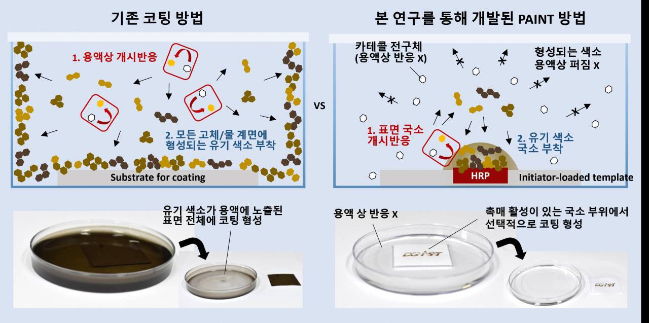 기존 방식과 이번 연구를 통해 개발된 PAINT 기술의 멜라닌 모사 유기 색소 형성 과정 비교.[DGIST 제공]
