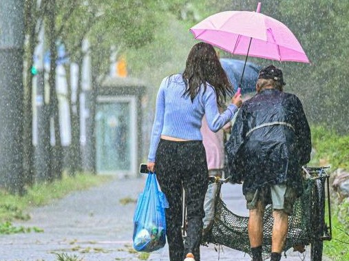 등 굽은 폐지 노인 우산 씌워준 ‘천사’…누리꾼 “모자이크 했지만 얼굴 보이네”