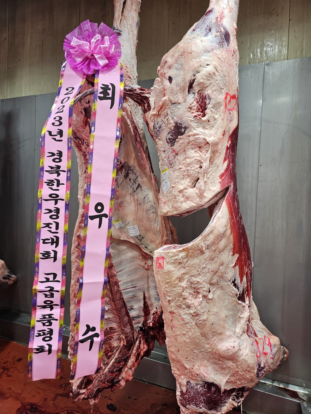 [고령군 제공]