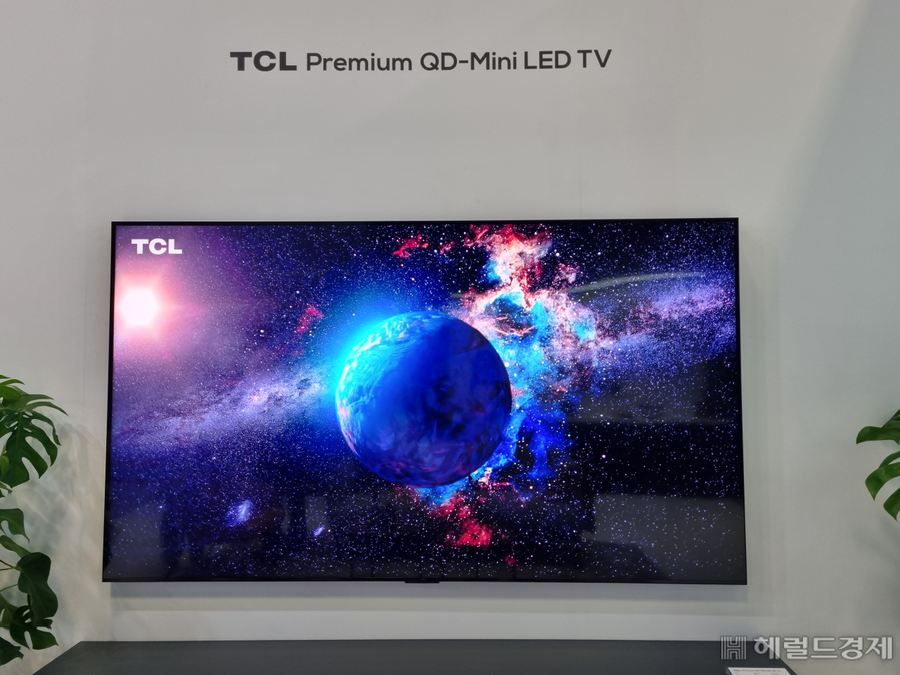 중국 TCL의 프리미엄 QD-미니 LED TV. 김민지 기자