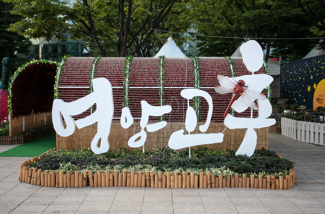 [영양군 제공]