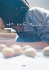 Choi Eun-young of 'Shoko's Smile' returns with loving narrative on women