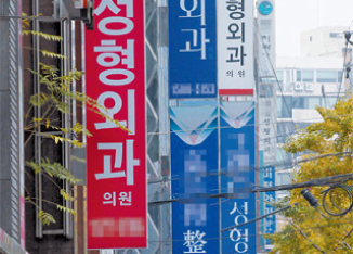 서을 강남직역의 성형외과들