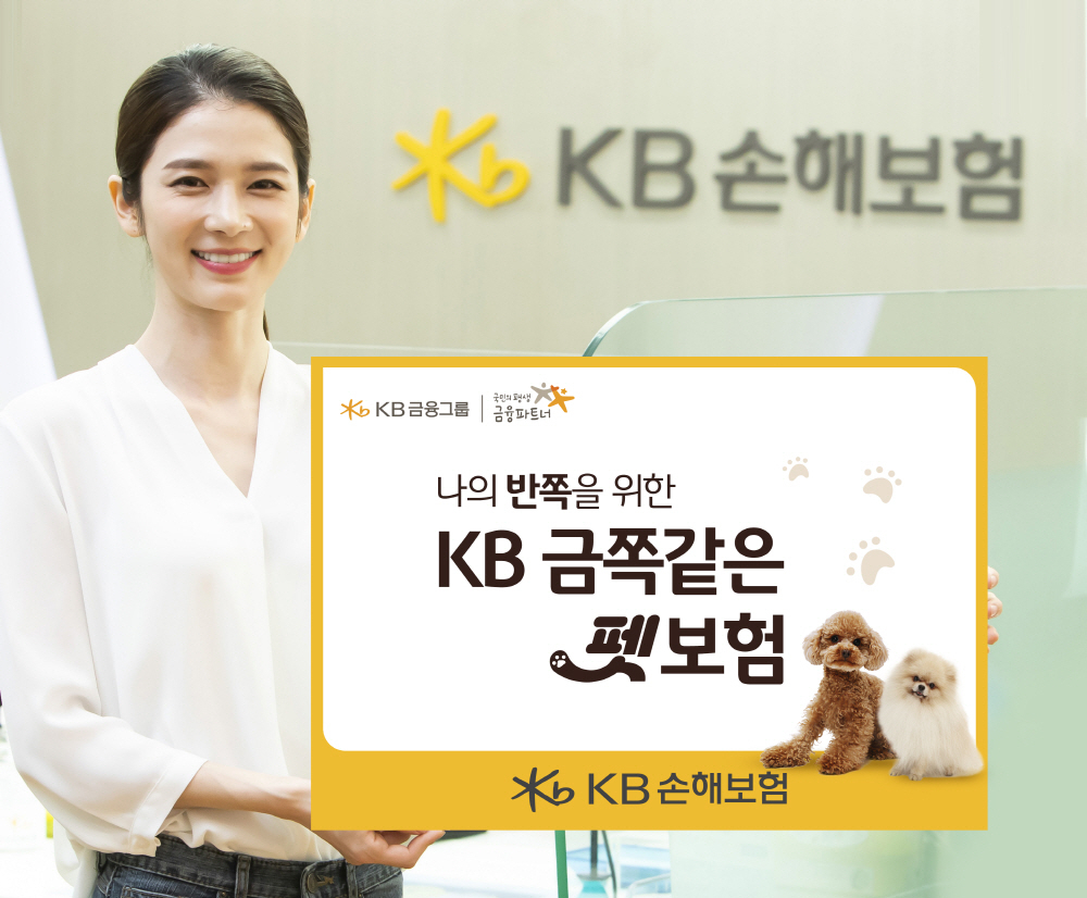 [KB손해보험 제공]