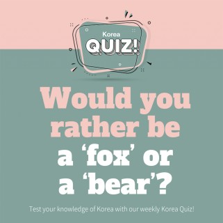 Would you rather be a ‘fox’ or a ‘bear’?