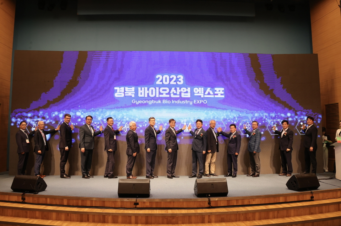 [포항시 제공]