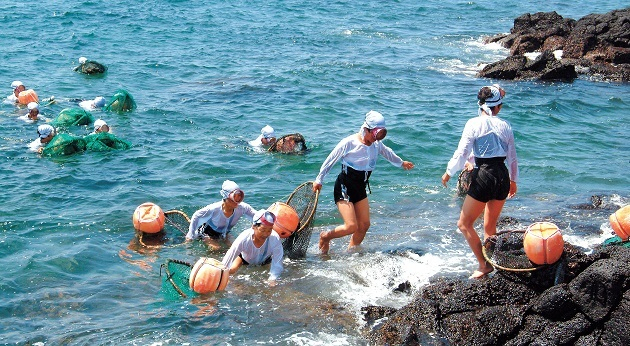 제주 해녀. 최근, 걸크러쉬, 젊은 해녀가 늘어나는 추세이다.