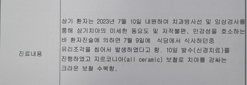 진단서 소견