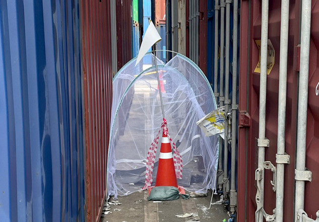 지난 28일 오후 부산항 자성대 부두 컨테이너 야적장에서 붉은불개미 50여 마리가 발견됐다. 방역당국은 붉은불개미가 발견된 지점에서 반경 50ｍ를 방제 구역으로 설정해 외부의 접근을 차단하고 적재된 컨테이너 270여 개에 대해선 이동 제한 조처했다. [연합]