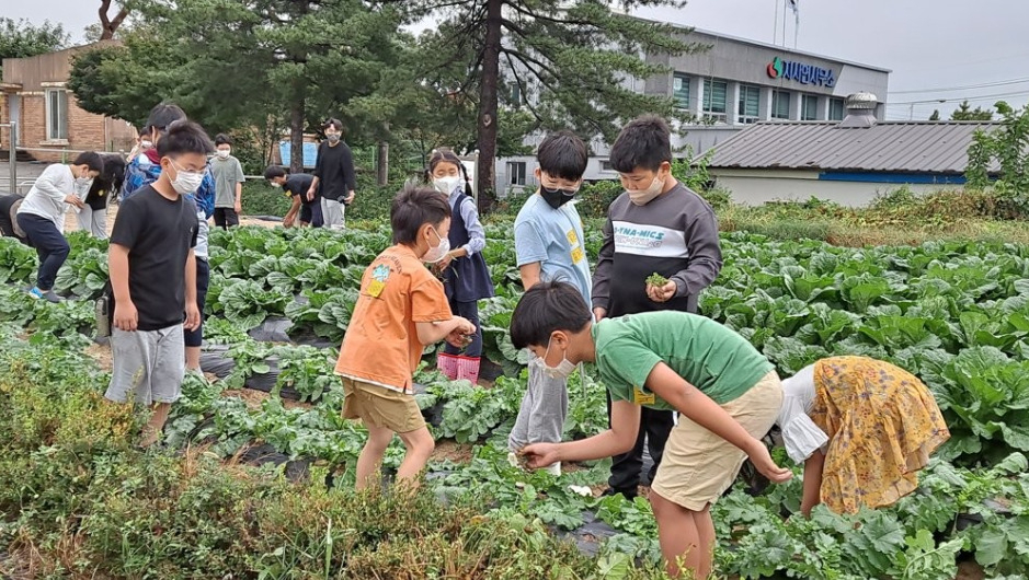 전북으로 농촌 유학을 온 서울 초등학생들이 지난 7월 전북 임실군 지시면 한 밭에서 잡초를 뽑고 있다. [연합]