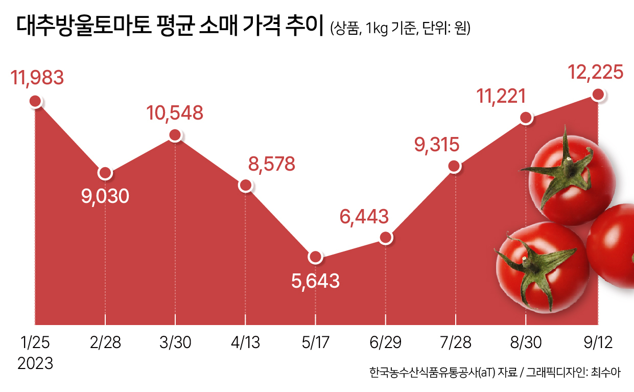 대추방울토마토 평균 소매 가격 추이 [헤럴드경제DB]