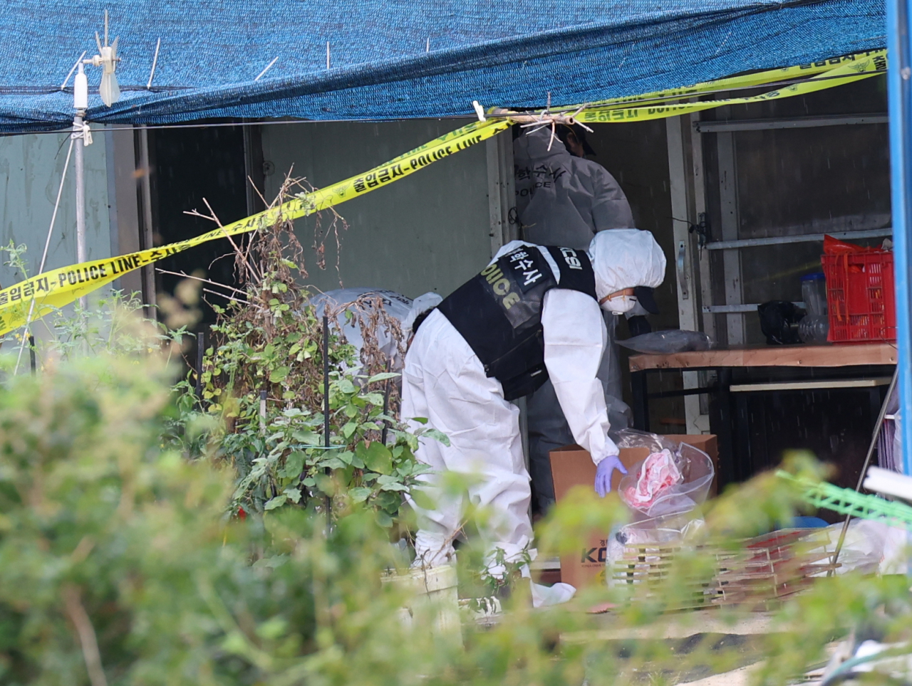 16일 오전 전남 영암군 영암읍 한 주택에서 일가족 사망 사건 현장 감식이 이뤄지고 있다[ 연합]